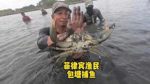 菲律宾渔民包塘捕鱼,捉到的虾倒是不少,你们看看是赚了还是赔了 