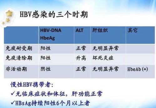 乙型肝炎病毒量达到多少算最高