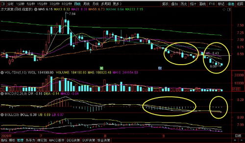 000825这只股票今年最高价和最低价是多少