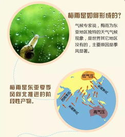 我买个面板一到霉雨季节就涨毛不知啥原因