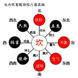 陈益峰 游年七星在各宫的吉凶 