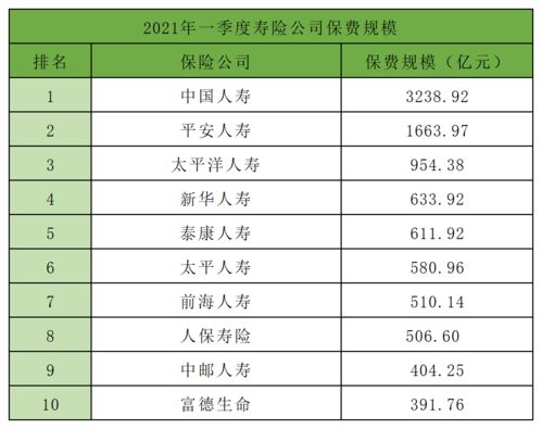 中国前五大保险公司有哪些 (保险行业保费排行榜前十名)