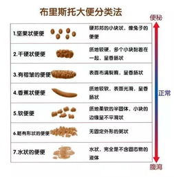 对不起,但是南方人过年真的不吃饺子 