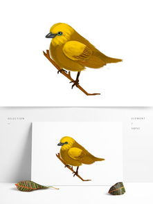 高清鸟设计素材免费下载 高清鸟设计图片 千图网平面设计 