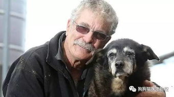 全世界最老的狗,高龄30岁安详辞世,它用一生表达对主人的爱 