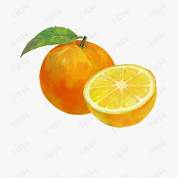 金橘色橙子素材图片免费下载 千库网 