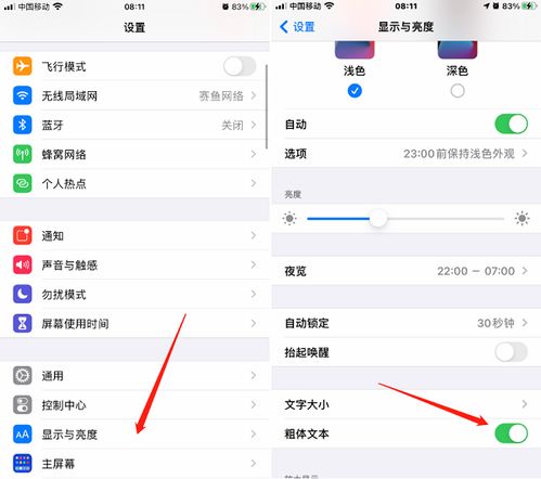 iPhone怎么设置粗体文本