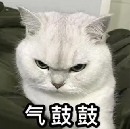 想哭的我戴上了猫的面具 根本不懂猫