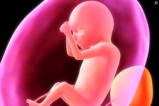 原创怀孕期间，胎儿大脑发育可能有2个“黄金期”妈妈尽量不要错过！
