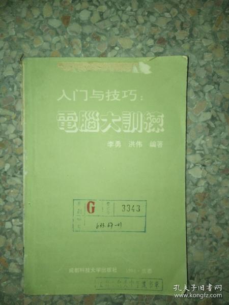 正版图书入门与技巧 电脑大训练