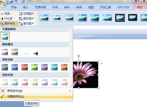 word2007设置图片背景为透明