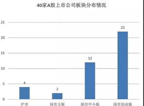 科创板上市公司的招股说明书可以在哪里看到?道科创怎么看?