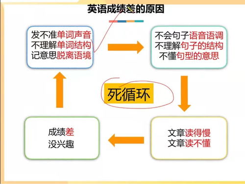 最有效的英语学习方法(如何学好英语 最有效的方法)