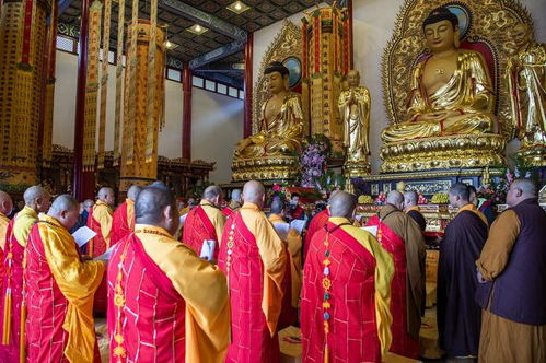 游客去寺庙参观,为何最好不要对着佛像拍照 导游道出原因