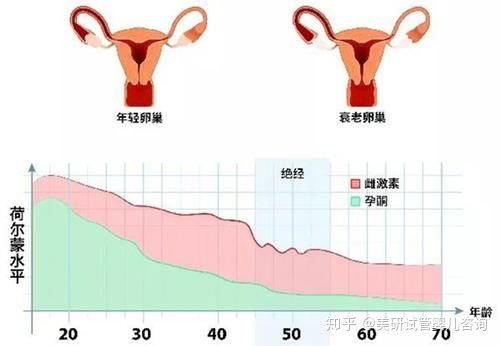 已经闭经的女性怎么才能怀孕 可以去美国做试管吗 成功率多少 