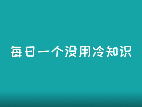 泛知识优质创作者邀请 没用冷知识 