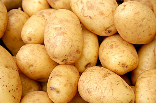 土豆是发物吗 “发物”是什么？哪些人不能吃？ 