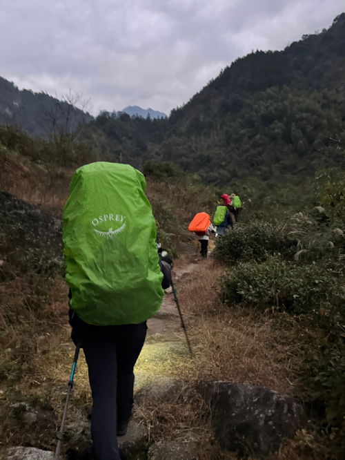 我市某林场计划购买(班级活动策划)