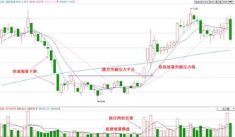 放量大阳线是什么意思？主要放量用白话怎么解释呢？