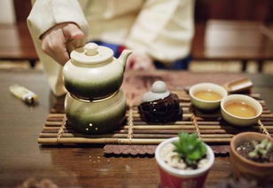 武汉楚采的是什么茶？