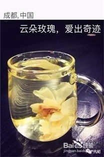 夏天泡红茶加什么好处和坏处