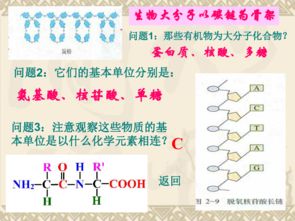 高一生物必修一为什么水分子的氧元素含量大于氢元素？