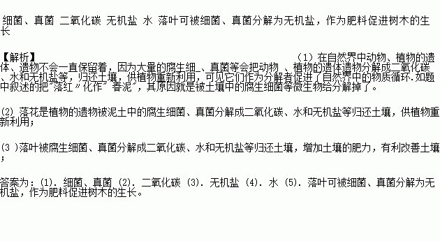 古代关于落花落红的诗句