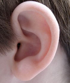 耳朵快聋时有什么症状 怎样逆转