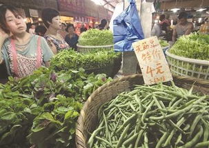 暴雨侵袭让菜农操碎心 市场菜价猛涨 菜却泡在田里 