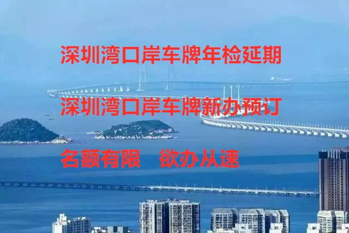 深圳纵横四海资产管理有限公司怎么样？