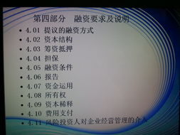 向你请教一下，创业书的风险评估的地方该怎么写？老师说我那部分，写的浅了些。。