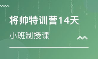 奉贤区学生夏令营方案模板(上海学生夏令营)