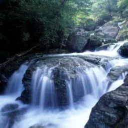 张家界索溪峪简介 张家界索溪峪旅游攻略