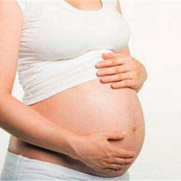怀孕宝宝预产期计算器