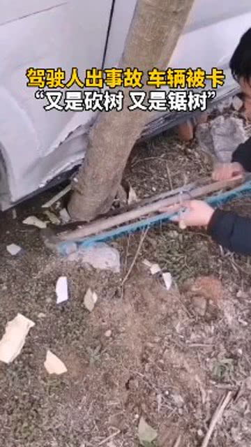 驾驶人出事故车辆被卡, 又是砍树又是锯树 啊 