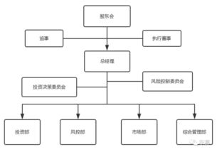 怎么画公司高层管理人员结构图