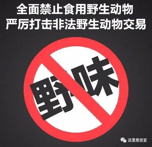 重磅 国家立法全面禁止非法野生动物食用及交易