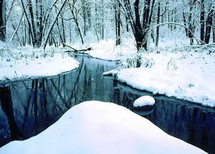 不用羡慕故宫雪景,咱们摄影老师教你分分钟拍出雪景大片