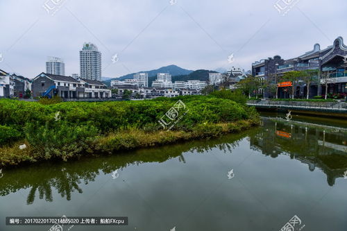 南汇著名旅游景点