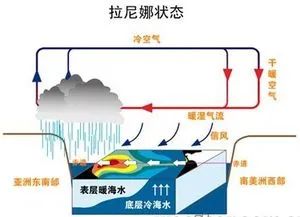 为什么今年会这么冷