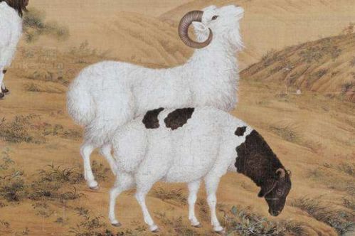 十羊九福全,67年属羊的毕生命寿,都是命运的安排
