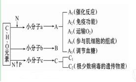 "；脂肪和生长激素是生物体内的能源物质"； 为何不对?，蛋白质能作为能源物质是指哪些