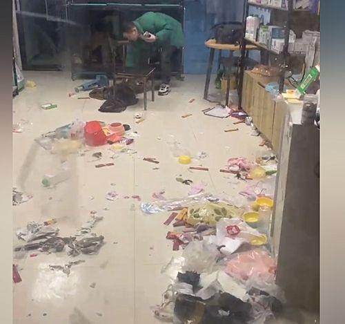 小伙去宠物店买猫砂,发现店里面像被打劫了一样 这寄养费真不贵