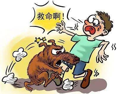 谁能科普一下狂犬知识啊最近网上好多传言(网上关于狂犬病的说法都不一样)