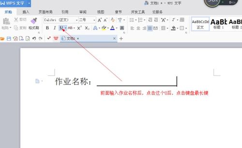 Wps 作业名称后面的横线怎么弄呀 