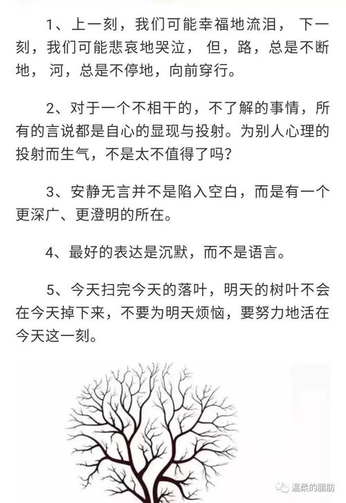 林清玄经典名言摘抄（林清玄人生十大美句？）