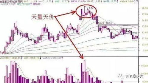 最近两年股票最低点是多少