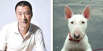 求林永健和狗的一张对比照片 
