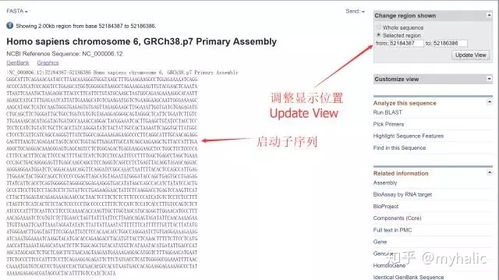 电脑查重通道如何开启？一篇文章教会你