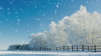 唯美雪景 16234636 LED视频素材 